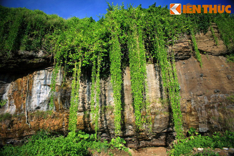 Màu xanh quyến rũ của thiên nhiên trên núi Thới Lới khiến du khách như được trở về với cội nguồn, quên đi mọi vất vả lo toan trong cuộc sống thường ngày.