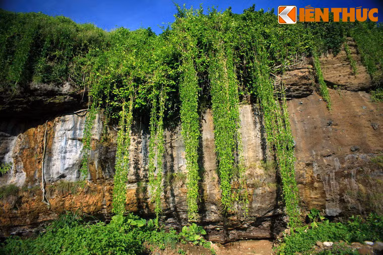 Màu xanh quyến rũ của thiên nhiên trên núi Thới Lới khiến du khách như được trở về với cội nguồn, quên đi mọi vất vả lo toan trong cuộc sống thường ngày.