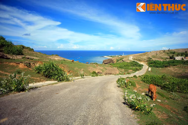 Từ chân núi Thới Lới, một con đường trải nhựa uốn lượn dẫn lên núi.