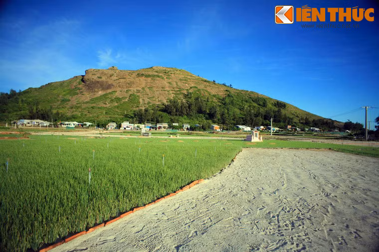 Đảo Lý Sơn, tỉnh Quãng Ngãi được hình thành từ thời tiền sử với sự phun trào của 5 ngọn núi lửa. Trong đó, núi Thới Lới cao 170m nằm ở phía Đông của đảo là ngọn núi lửa lớn và độc đáo nhất. Đây cũng là một thắng cảnh tuyệt vời mà du khách không thể không ghé thăm ghi đặt chân đến đảo Lý Sơn.