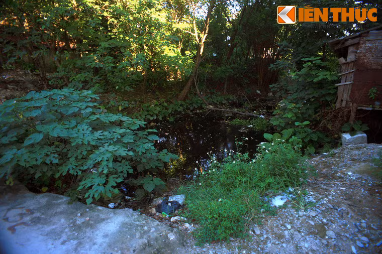 Trải qua nhiều biến cố của lịch sử và sự phá hoại của chiến tranh, di tích thành cổ Vinh hầu như không còn lại gì, chỉ còn lại 3 cổng thành và khu hồ bao quanh. Ảnh: Một đoạn hào nước ngoài thành còn sót lại.