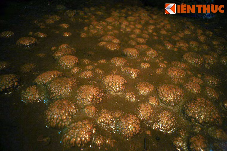 Có nhiều đụn nhũ thạch lấp lánh được ví như những kho chứa khác nhau như kho tiền, kho vàng, kho muối, kho gạo...