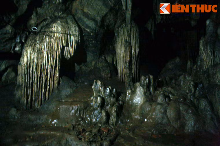 Theo các khảo sát, động Từ Thức có rất nhiều ngóc ngách, trong đó động chính gồm có 2 phần ngăn cách bởi một vách hang. Càng vào sâu, lòng động càng rộng ra.