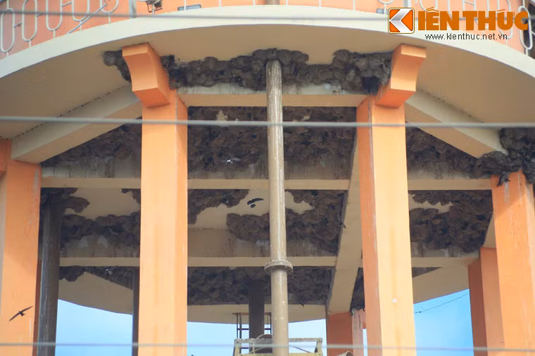 Đặc biệt, từ hàng chục năm nay, mặt dưới bồn nước của Nhà Tròn đã trở thành nơi làm tổ của hàng trăm con chim én. Mỗi sáng sớm hay chiều về, hàng ngàn con chimbay lượn quanh di tích tạo nên khung cảnh độc đáo giữa phố thị.