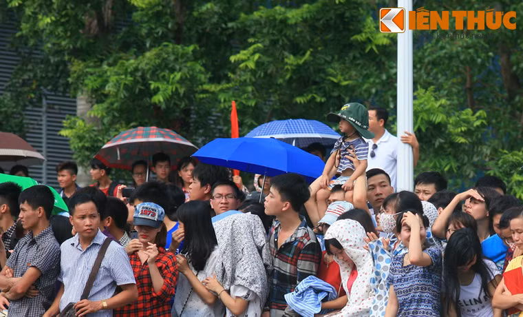 Với các em bé, vị trí quan sát tốt nhất là... ngồi trên đầu bố.