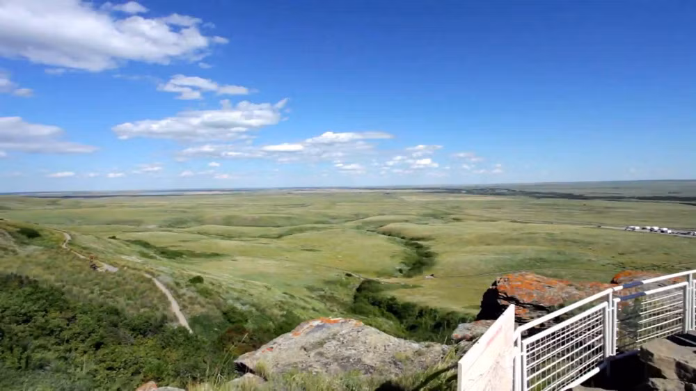 Theo truyền thống, đàn bò sẽ được lùa đến hẻm vực từ một đồng cỏ cách đó khoảng 3 km về phía Tây theo một làn đường được dẫn bằng hàng trăm phiến đá ngụy trang như những con sói.