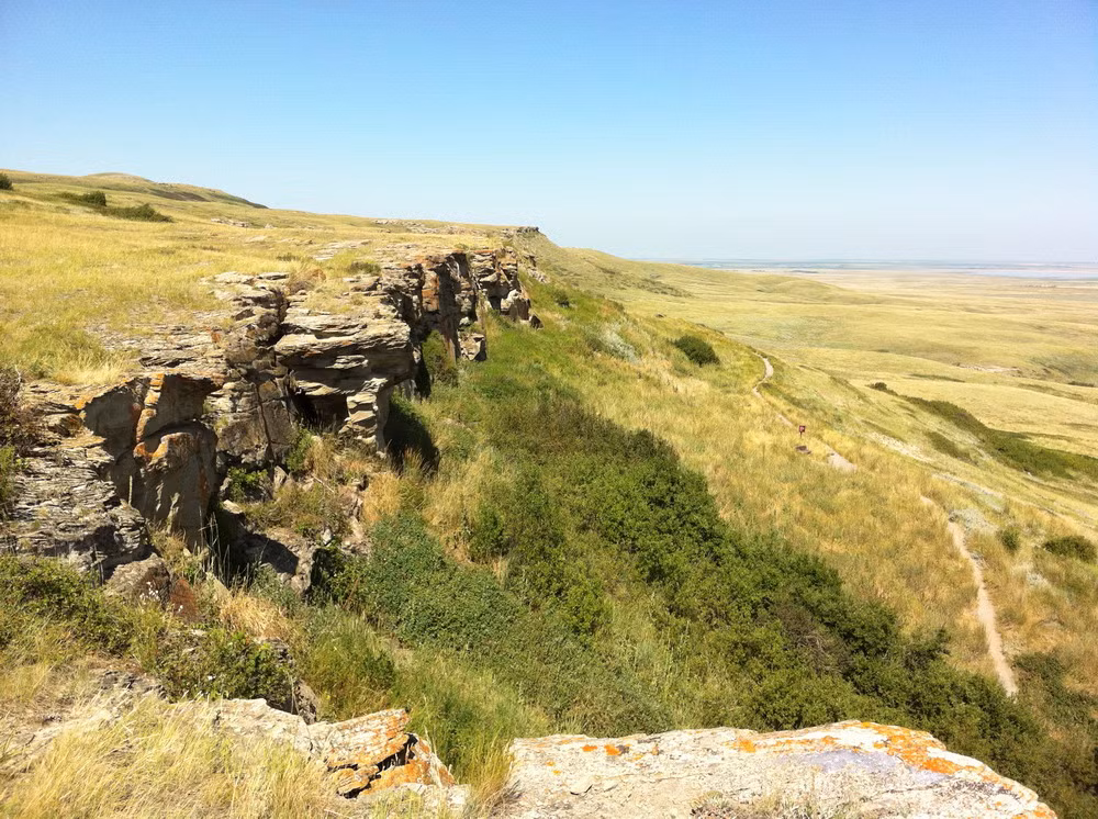 Nằm chân dãy núi Rocky ở tỉnh Alberta của Canada, hẻm vực bẫy trâu (Head-Smashed-In Buffalo Jump) là một chứng tích lịch sử độc đáo về cuộc sống của người tiền sử ở Bắc Mỹ.