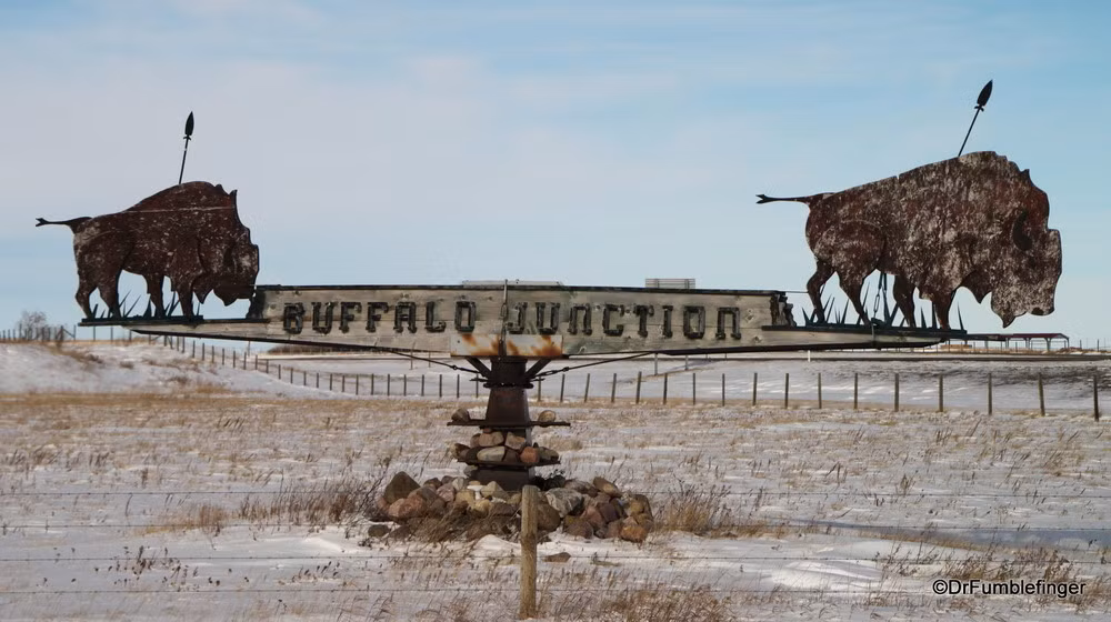 Cách thức săn bắt này đã được người da đỏ Chân Đen duy trì ở vực bẫy trâu hàng nghìn năm.