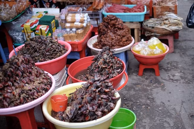 Mắm ba khía (một giống cua càng to đặc trưng của vùng Nam Bộ) cũng là một loai mắm nổi tiếng, được nhiều người yêu thích bởi dễ ăn, dễ chế biến. Ảnh: Minh Hằng.