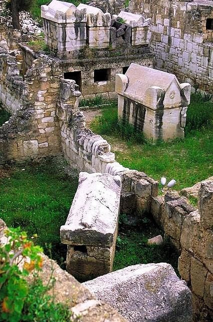 Thành Tyre đặc biệt nổi tiếng với sản phẩm hiếm và cực kỳ đắt đỏ là thuốc nhuộm màu tía được sản xuất từ vỏ của ốc gai. Trong nhiều nền văn hóa thời cổ đại thì màu nhuộm này chỉ được dùng cho hoàng gia và giới quý tộc.