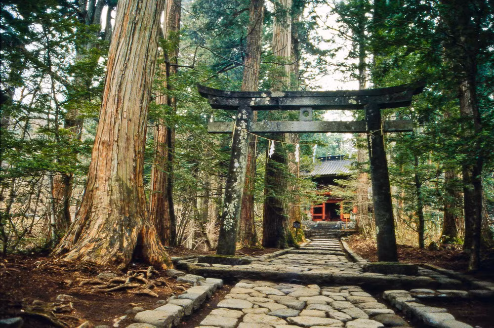Năm 1999, UNESCO đã công nhận quần thể đền chùa Nikko là Di sản văn hóa thế giới.