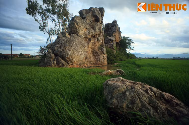 Nổi lên giữa một vùng đồng lúa bằng phẳng rộng mênh mông, gành đá này gồm những khối đá mọc thẳng đứng, cao thấp khác nhau với hình thù rất đa dạng, trải dài gần 1 km.