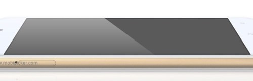 So với mẫu Elife S5.1 từng giới thiệu, Elife S5.1 Pro có thể xem là một phiên bản cỡ lớn với khá nhiều chi tiết nâng cấp phần cứng. Vì mẫu Elife S5.1 trang bị màn hình Super AMOLED 4,8 inch hỗ trợ độ phân giải HD, bộ xử lý 8 nhân MediaTek MTK6592 tốc độ 1,7GHz, RAM 1GB, bộ nhớ trong 16GB, camera chính 8MP kèm đèn flash LED trợ sáng, camera phụ 5MP góc nhìn rộng 88 độ cho nhu cầu selfie, pin dung lượng 2.050mAh và chạy HĐH Amigo OS 2.0 phát triển trên nền Android 4.4 KitKat.