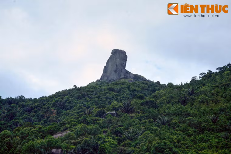 Núi Đá Bia, tên chữ là Thạch Bi Sơn, là ngọn núi cao nhất trong khối núi Đại Lãnh thuộc dãy núi Đèo Cả, ở huyện Đông Hòa, tỉnh Phú Yên. Núi nổi tiếng vì tảng đá bia khổng lồ cao khoảng 80 m trên đỉnh núi mà cách xa vẫn có thể nhìn thấy. Tương truyền vào năm 1471, khi thân chinh cầm quân tấn công Champa, Lê Thánh Tông dừng tại chân núi, cho quân lính trèo lên khắc tên, ghi rõ cương vực Đại Việt. Vì thế, núi được gọi là núi Đá Bia.