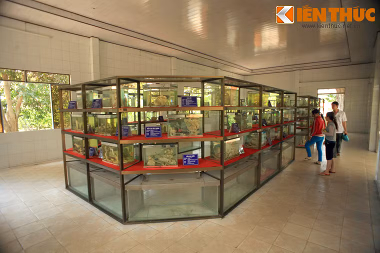 Bảo tàng này là nơi lưu giữ tiêu bản của hầu hết các loài rắn của Việt Nam.