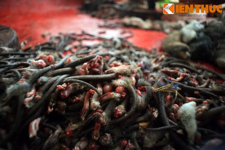 Phụ phẩm của quá trình này sẽ không bị vứt bỏ mà được tận dụng làm thức ăn nuôi cá.