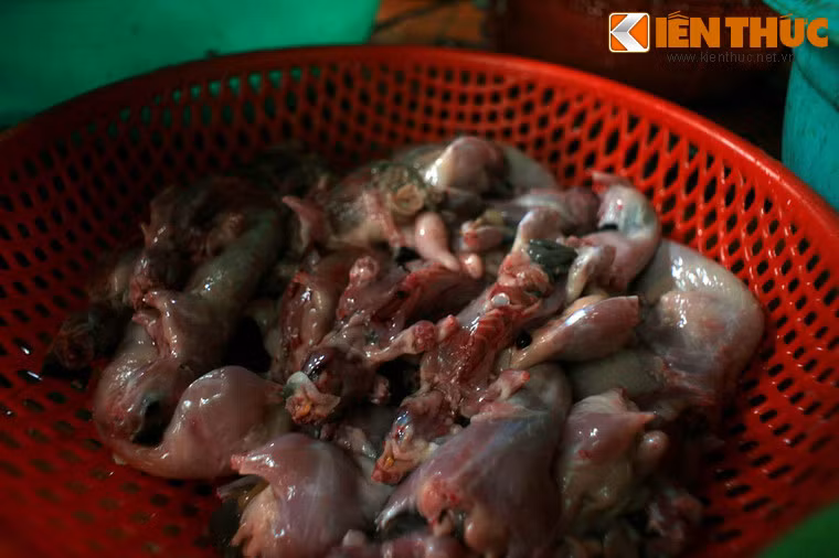 Những chú chuột gớm ghiếc được làm sạch sẽ trông đã "ngon mắt" hơn rất nhiều.