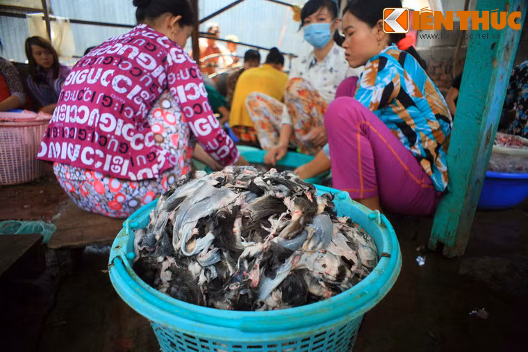 Các công đoạn tiếp theo là lột da, lọc bỏ mắt và nội tạng chuột...