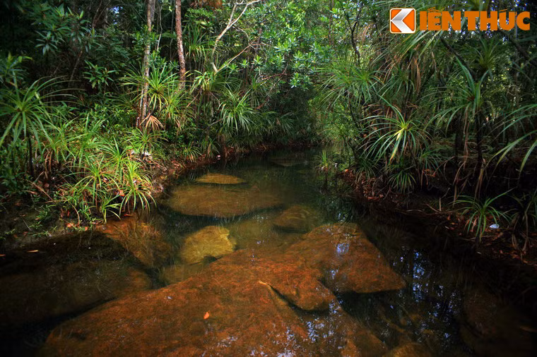 Hai bên bờ suối là những cánh rừng nguyên sinh xanh ngắt.