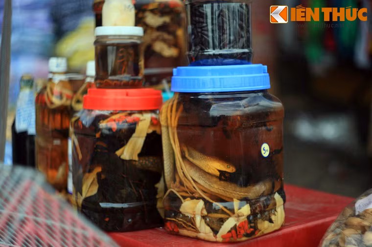 Những hũ rượu nhồi đủ thứ "sinh vật đáng sợ" được bày bán ở chợ.