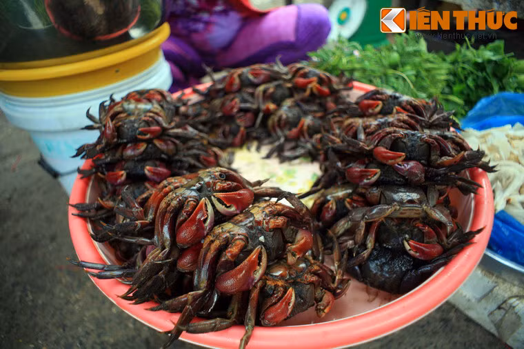 Con ba khía - một loài cua đặc trưng của vùng Nam Bộ cũng có mặt tại chợ.