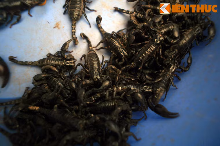 Thường được gọi là "chợ côn trùng", khu chợ siêu quái dị này có mặt hàng đặc trưng nhất là rất nhiều chủng loại côn trùng, sâu bọ khác nhau như bọ cạp, nhện, bửa củi, mối chúa... Chúng được sử dụng để ngâm rượu thuốc và đôi khi là làm món ăn.