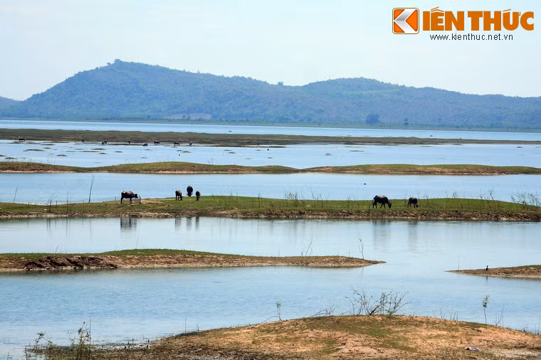 Các đảo nhỏ trong lòng hồ tạo nên những nét chấm phá thú vị, quyến rũ lữ khách đến thăm quan.