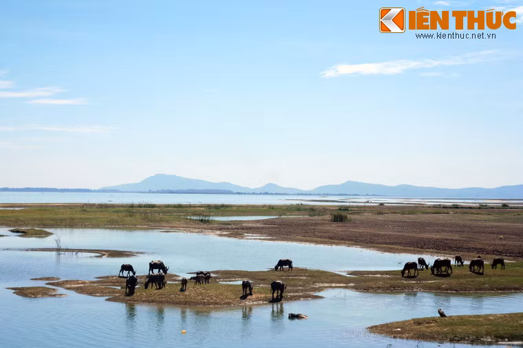 Vào buổi sáng sớm hoặc chiều tà, quang cảnh hồ đẹp tựa như một bức tranh thủy mặc.