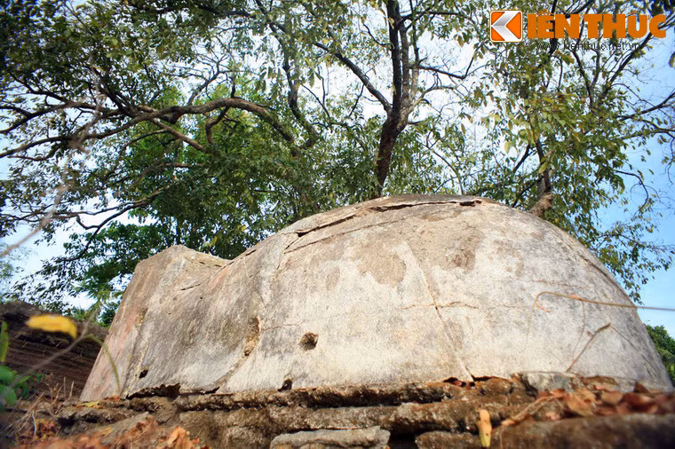 Nhà nghiên cứu Trương Ngọc Tường phân tích, rất có thể gia đình Lê Phước Tang bị trị tội là do Lê Phước Tánh và Lê Phước Khỏa có mối liên hệ mật thiết với nhà Tây Sơn, đã hỗ trợ hoặc cung cấp lúa gạo cho quân Tây Sơn. Việc làm của hai người con ông Tang đối với chúa Nguyễn Ánh là hành động bất trung, khiến ông Tang bị vua Gia Long kết tội dưỡng bất giáo...