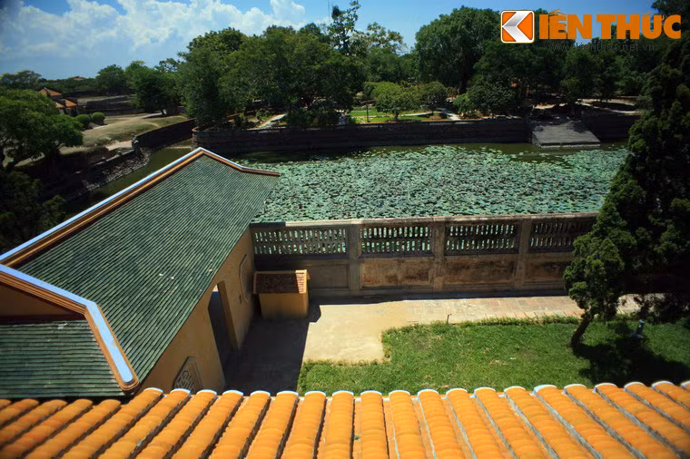 Quanh khu nhà là những mảnh vườn và vườn hồ nước được thiết kế đầy tính thẩm mỹ.