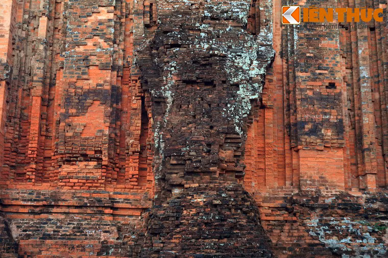 Khi thực dân Pháp xâm lược nước ta, chúng đã nã pháo vào tháp Nhạn làm cho đỉnh tháp và 3 góc tháp bị đổ.