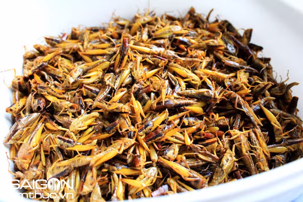 Cào cào rang: Cũng giống như hai loại côn trùng ở trên, cào cào rang cũng được chế biến rất đơn giản chỉ cần xóc muối đảo trong chảo mỡ cho đến khi cào cào chín vàng đều, thêm gia vị vừa ăn là được. Ảnh: Saigonamthuc.