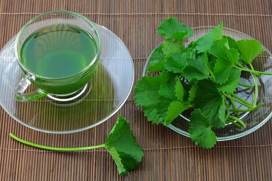 Trà rau má: Chuẩn bị 200g rau má, 200g đinh lăng, 100g nhân trần, 100g cam thảo đem sao lên tán bột. Dùng bột này hãm cùng với nước sôi để uống. Hỗn hợp bột có thể là nhiều bảo quản trong hộp kín dùng dần. Ảnh: Thương hiệu việt.