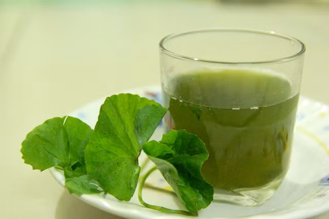 Rau má có thể tương tác với các thuốc gây buồn ngủ và thuốc chống co giật, các thuốc chống trầm cảm... làm giảm tác dụng, công hiệu của thuốc. Ảnh: Cuocsongkhoedep.