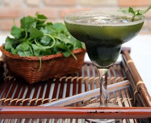 Khi bạn ăn quá nhiều thịt, thức ăn cay nóng, hoặc bị nóng trong có thể uống thêm nước rau má để điều hòa rất tốt. Ảnh: Đời sống pháp luật.