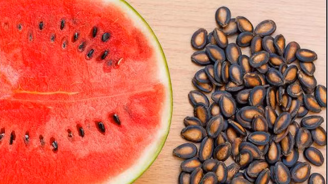 Ngoài ra, uống nước hạt dưa hấu mỗi ngày còn giúp bạn chữa được rất nhiều căn bệnh khác. Ảnh: baomoi.