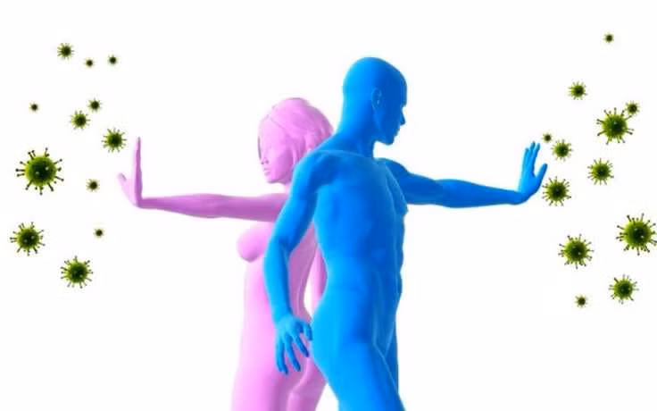 Carotene là chất được tìm thấy nhiều trong quả bòn bon chống oxy hóa rất tốt vì thế ăn nhiều quả bòn bon có thể phòng ung thư và nâng cao miễn dịch cho cơ thể. Ảnh: Bezut.