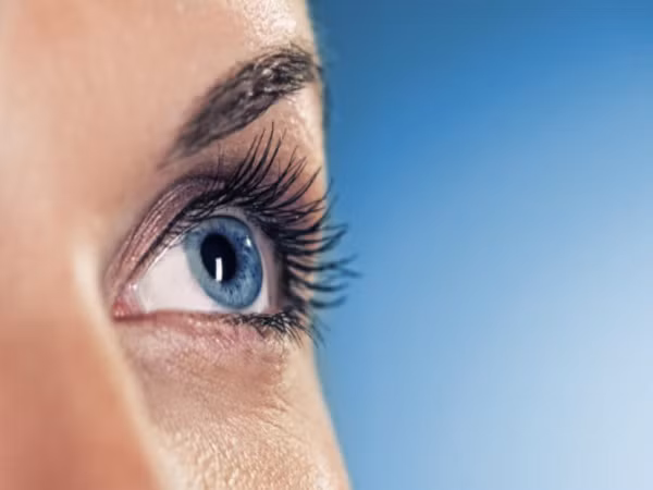 Bòn bon giàu vitamin trong đó có vitamin A tốt cho mắt, cho da. Vitamin C có trong bòn bon giúp ngăn ngừa tình trạng lão hóa sớm. Ảnh: Webgiadinh.