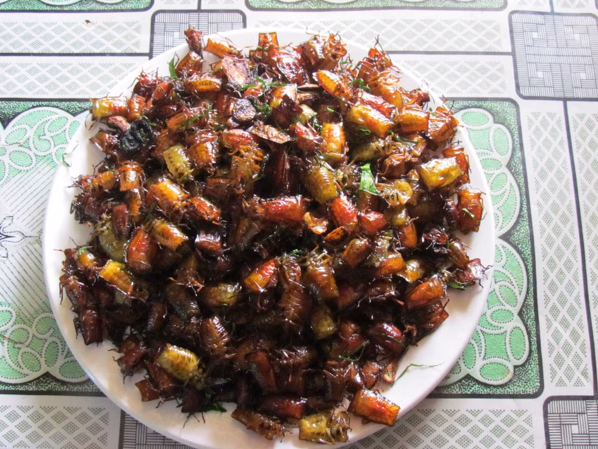 Món bọ xít rang giòn với lá chanh có thể ăn với cơm nóng hoặc làm mồi nhậu nhâm nhi cùng những cốc bia mát lạnh trong mùa hè. Ảnh: Healthplus.