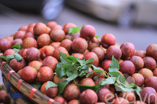 Cách làm: Mận bỏ hạt thái miếng đem xay nhuyễn, bột gelatin hòa nước chung cách thủy, kem tươi dùng máy đánh nổi. Ảnh: Eva.