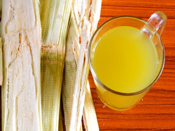 Nước mía tươi không hề gây hại hoặc có tác dụng xấu với người tiểu đường, không làm tăng đột ngột lượng đường trong máu vì nó có chỉ số glycemic thấp. Người bị tiểu đường hoàn toàn có thể uống một chút nước mía mà không quá lo lắng về sức khỏe.