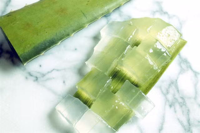 Nước nha đam tươi: Bạn hãy lấy phần thịt nha đam đem trộn với nước chanh để uống. Hầu hết mọi người đều có thể sử dụng loại nước này trừ phụ nữ có thai. Ảnh: Báo mới.