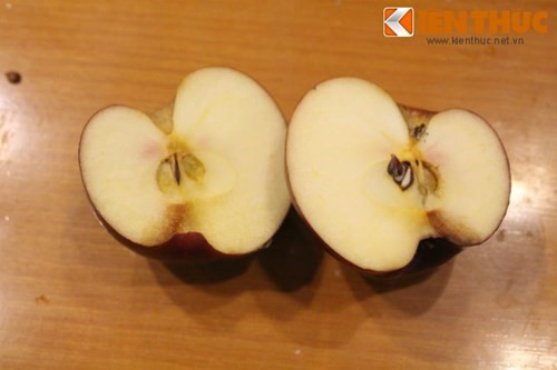 Quả táo Organic để bên ngoài sau 49 ngày mới bắt đầu có dấu hiệu thâm nhẹ một góc nhỏ.