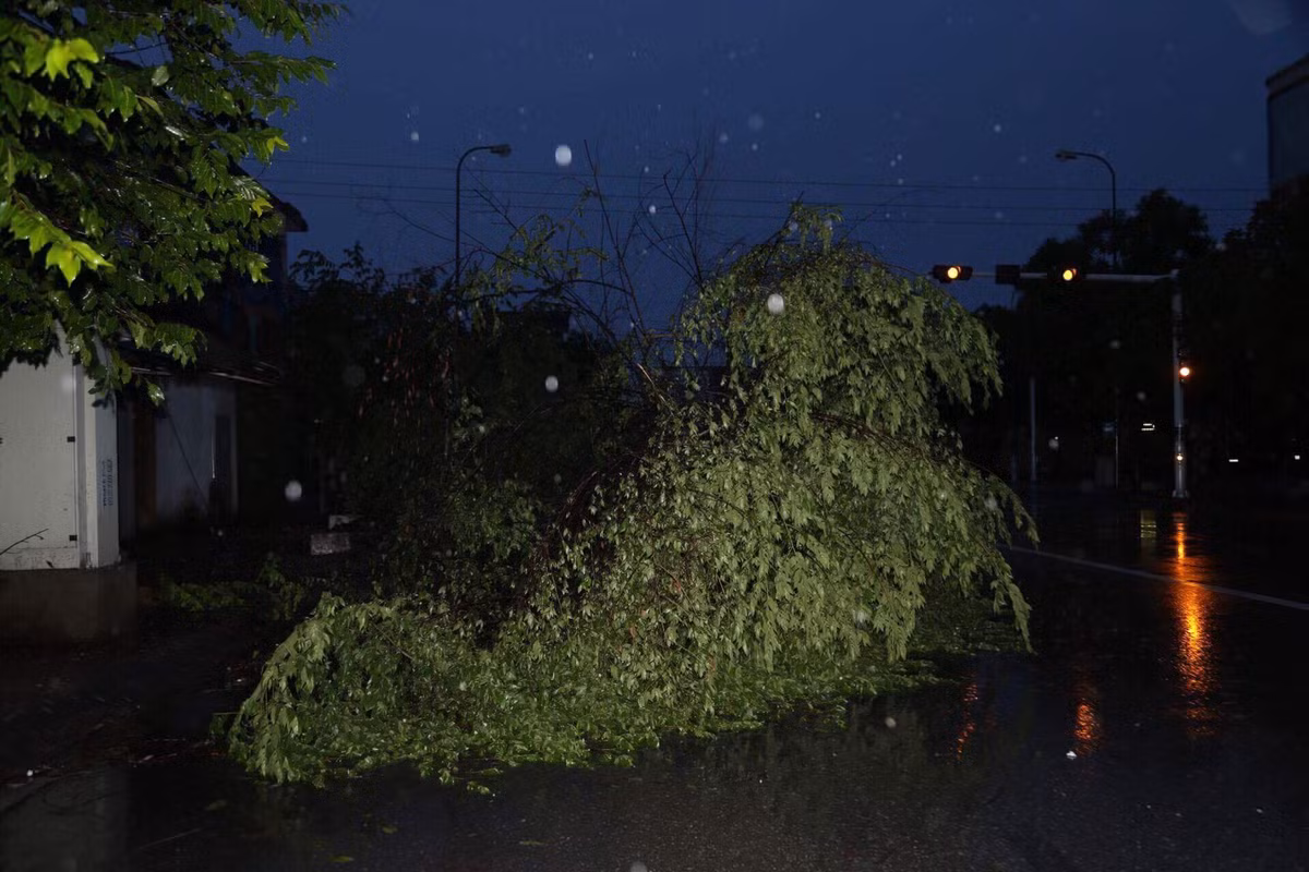 Thiet hai ban dau do bao so 2 tai Nghe An, Ha Tinh