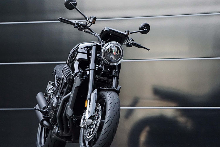 Horex VR6 Raw 2019 được trang bị khối động cơ 6 xy-lanh TOHC, 18 van, dung tích 1.218 cc tương tự VR6. Động cơ này sản sinh cho VR6 Raw công suất lên đến 163 mã lực và mô-men xoắn cực đại 128 Nm. Sức mạnh truyền tới bánh sau thông qua hộp số 6 cấp và xích tải.