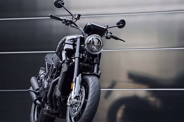 Horex VR6 Raw 2019 được trang bị khối động cơ 6 xy-lanh TOHC, 18 van, dung tích 1.218 cc tương tự VR6. Động cơ này sản sinh cho VR6 Raw công suất lên đến 163 mã lực và mô-men xoắn cực đại 128 Nm. Sức mạnh truyền tới bánh sau thông qua hộp số 6 cấp và xích tải.