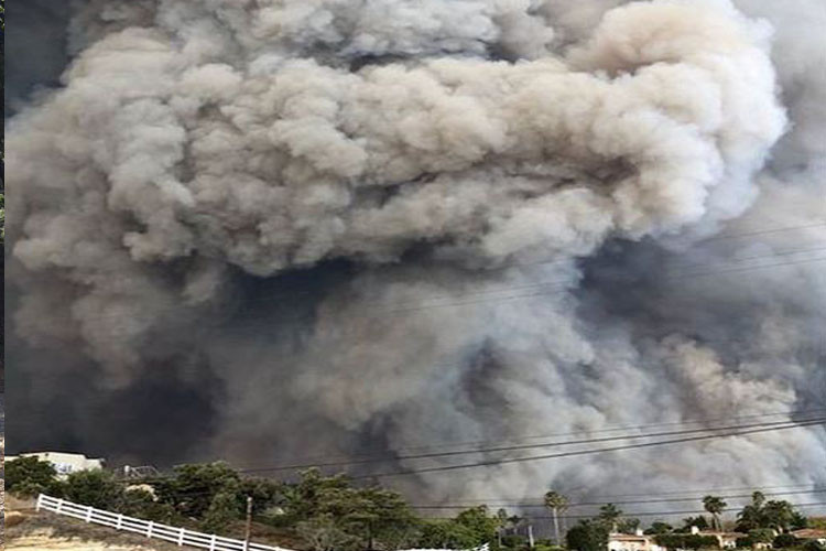 Vụ cháy rừng kinh hoàng làm 44 người tử vong và hơn 200 người mất tích xảy ra tại bang California, Mỹ khiến nhiều người hoang mang. Hàng trăm người mất nhà cửa, nơi làm việc. Trong số đó có cả các ngôi sao Hollywood như nam diễn viên Gerard Butler vốn nổi tiếng qua các bộ phim 300 hay The Ugly Truth.