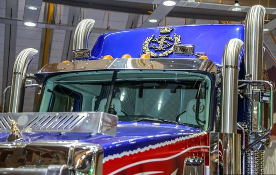 Biểu tượng ngôi sao và hình trăng lưỡi liềm lấy từ hiệu kỳ của bang Johor và hình ảnh biểu tượng con hổ đại diện cho đội bóng Darul Ta’zim của bang Johor và hình vương miện Hoàng gia rất quyền lực.