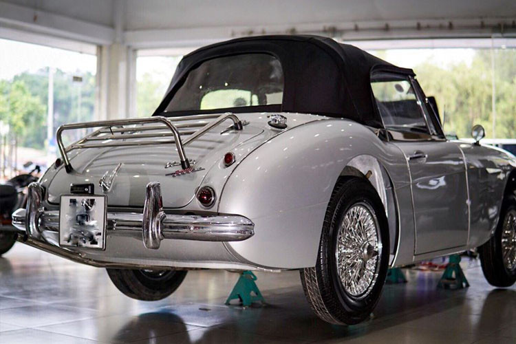 Austin-Healey 3000 chỉ có thiết kế ghế ngồi 2+2 và hai lựa chọn thể thao mui cứng (roadster) hoặc mui mềm (Convertible).