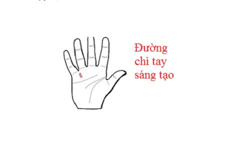 3. Đường chỉ tay sáng tạo: Đường sáng tạo là một hoặc hai đường ngắn thẳng đứng và hơi nghiêng. Đường này nằm ở vị trí giữa ngón tay út và ngón đeo nhẫn. Đường chỉ tay này đại diện cho tài năng sáng tạo và sự đổi mới trong tư duy của chủ nhân. Nếu sở hữu đường này, bạn sẽ thành công trong những công việc liên quan tới nghệ thuật, sáng chế…